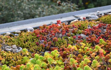 the cost of Blaguegate green roof installation