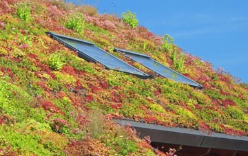 Blaguegate living roof systems