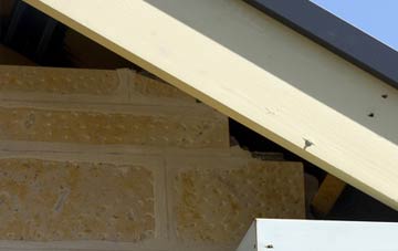 soffit repair Blaguegate