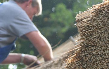 professional Blaguegate thatchers