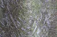 Blaguegate fibreglass roof work