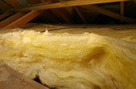 Blaguegate pitch roof insulation