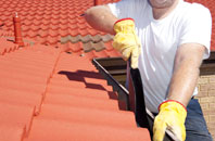 Blaguegate roof cleaners